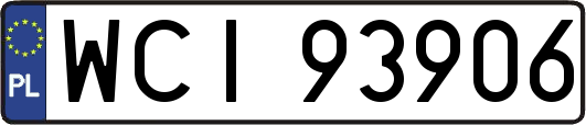 WCI93906