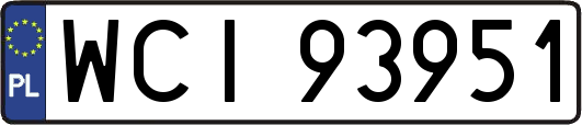 WCI93951