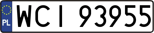 WCI93955