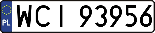 WCI93956
