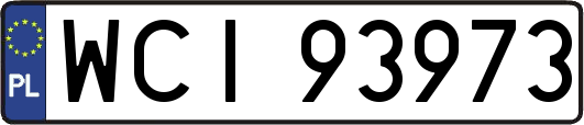 WCI93973