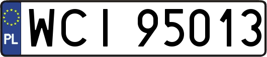 WCI95013