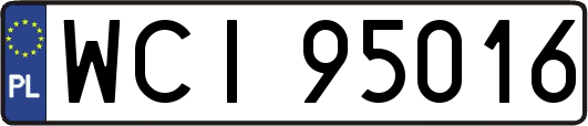 WCI95016