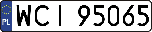 WCI95065