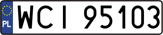 WCI95103