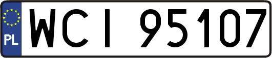 WCI95107