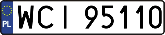 WCI95110