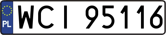 WCI95116