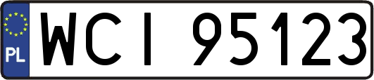 WCI95123