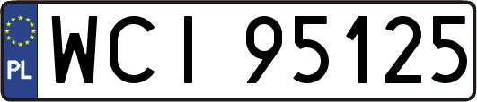 WCI95125