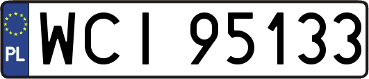 WCI95133
