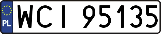 WCI95135
