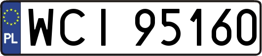 WCI95160