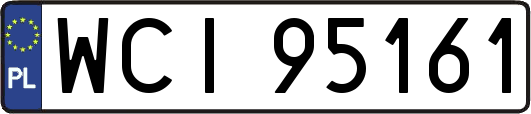 WCI95161