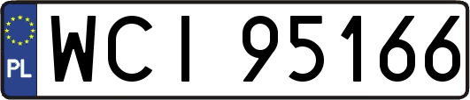 WCI95166