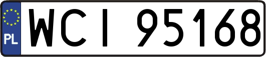 WCI95168