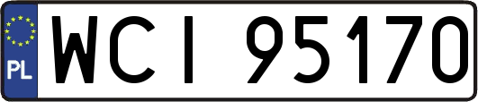 WCI95170