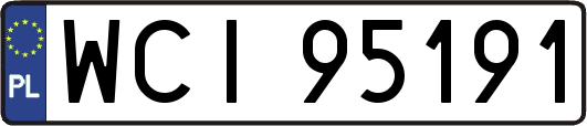 WCI95191