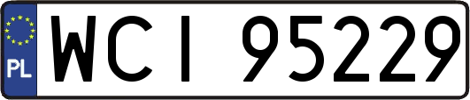 WCI95229