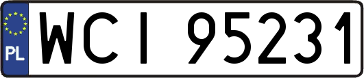 WCI95231