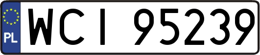 WCI95239