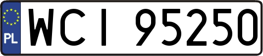 WCI95250