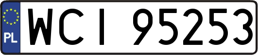 WCI95253