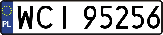 WCI95256