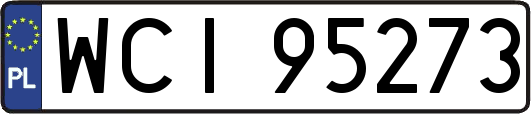 WCI95273