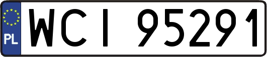 WCI95291