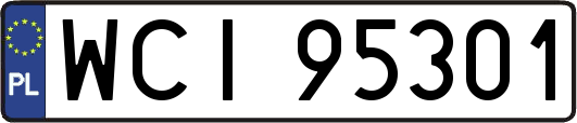 WCI95301