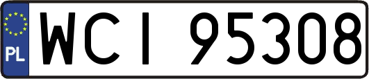 WCI95308