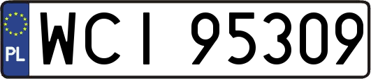 WCI95309