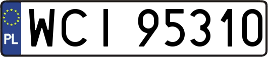 WCI95310