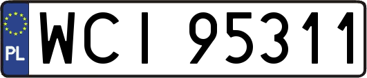 WCI95311