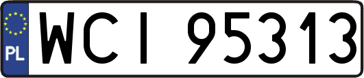 WCI95313