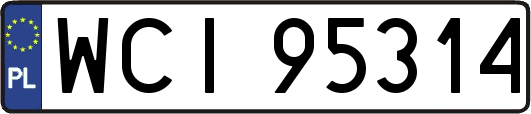 WCI95314