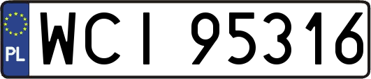WCI95316