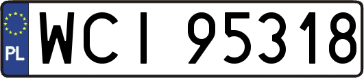 WCI95318