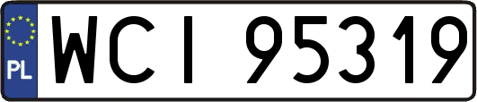 WCI95319