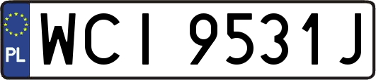 WCI9531J