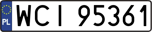 WCI95361