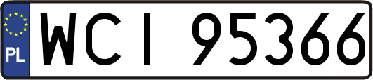 WCI95366