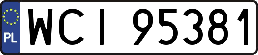 WCI95381