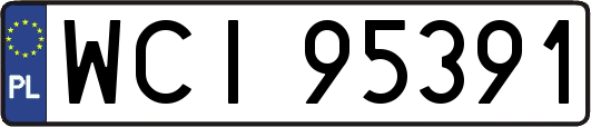 WCI95391