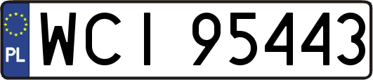 WCI95443