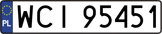 WCI95451