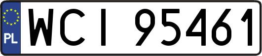 WCI95461