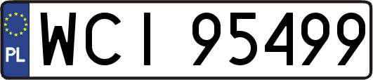 WCI95499