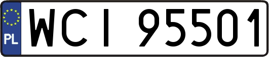 WCI95501